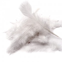 Angels Craft Feathers, White