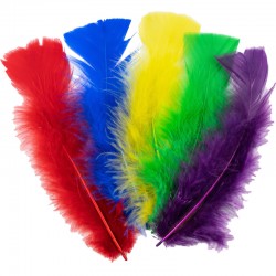 Angels Craft Feathers,...