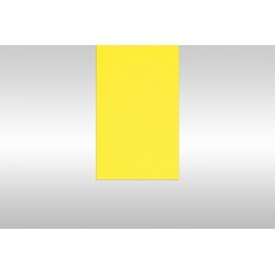 Bristol Paper, 20" x 26",...